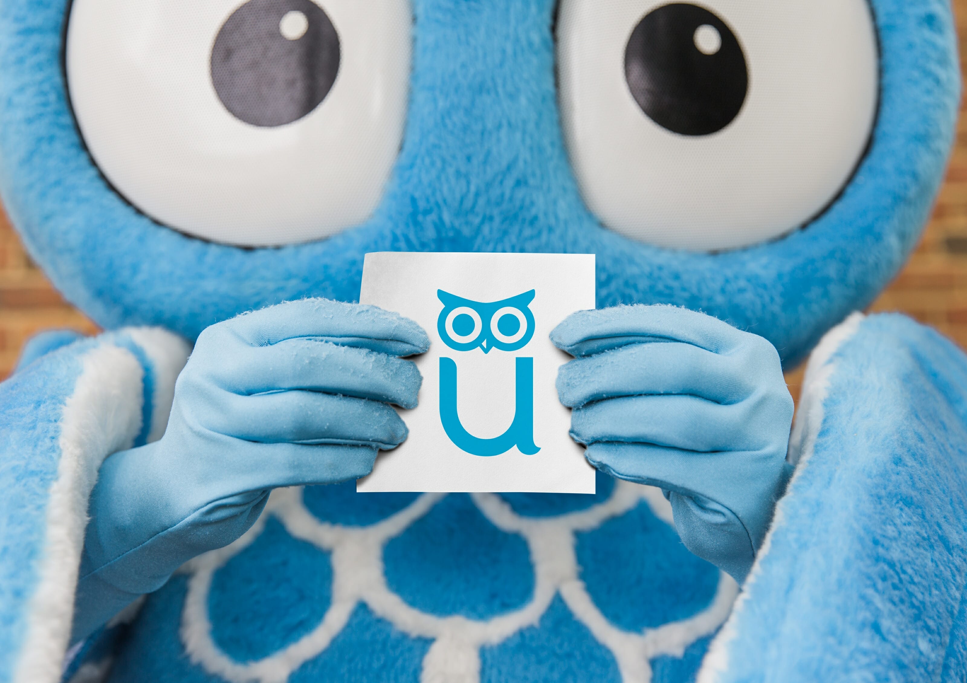 Proctor U Cayenne Creative